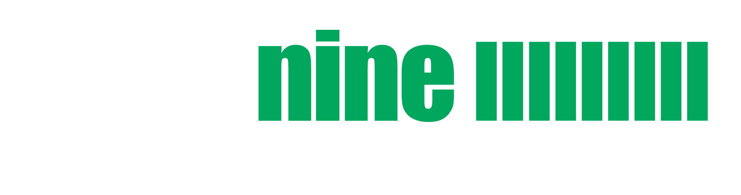 Das levelnine logo sieht wie folgendes aus: level in weiß, nine und neuen Striche in grün. Darunter der Text einfach kompetent beraten in weiß.